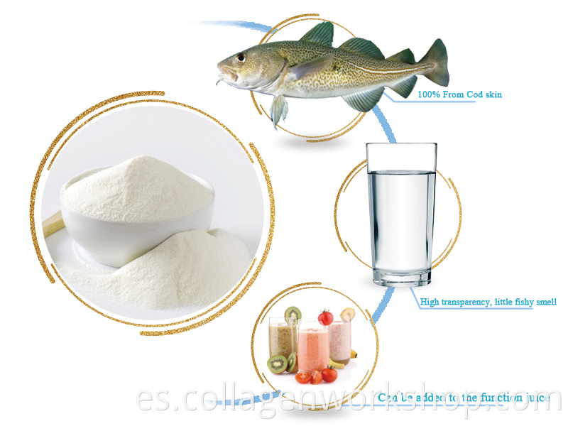 cod fish collagen detail